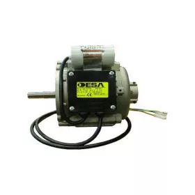 Master Motor 250W BV 170