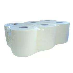   Mini jumbo nagytekercses WC-papír, 2 rétegű, 100% fehér, D=19cm, 120m/tekercs, 12tekercs/zsugor