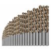HOLEX CleverDrill HSS csigafúró készlet 114031 sz., utántöltő készletként  1-13