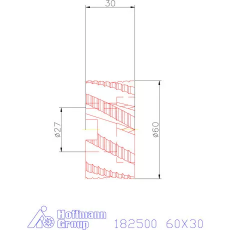Garant Nagyoló-simító homlok-palástmaró NF 60X30 mm