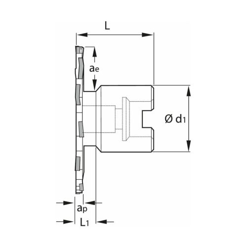 Garant Tárcsamaró felfogó aggyal Szélesség a<sub>p</sub> = 16 mm 80 mm