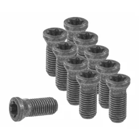 Váltólapka csavar készlet 10 darabos