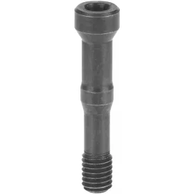 Garant Torx Plus csavar 10IP