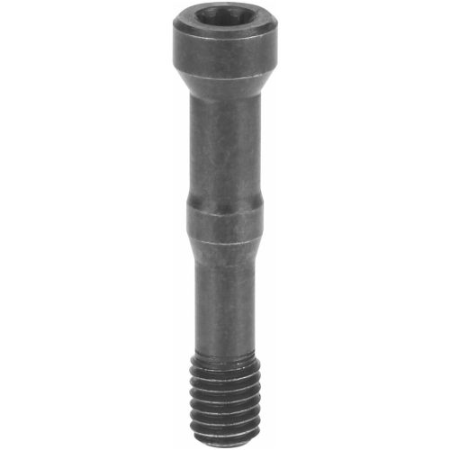 Torx Plus® csavar  10IP