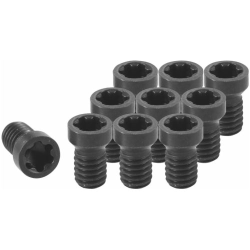 Torx Plus® szorítócsavar készlet 10 darabos 8IP1