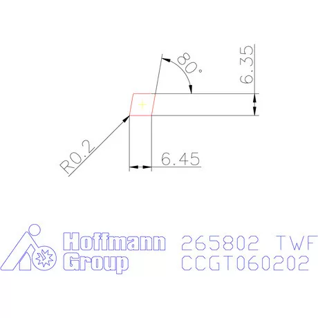 CCGT 060202 FN  TWF