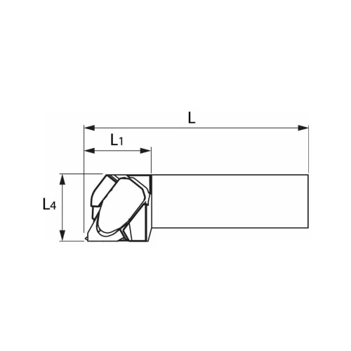 Garant Garant Master Eco esztergakés körmös szorítással 20/16 mm