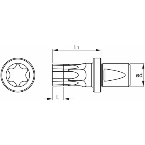 Garant Belső Torx profil üregelő betét ⌀ d = 16 mm TX30 mm