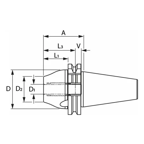 Garant Performance hidroplasztikus befogó Master Chuck 12 mm
