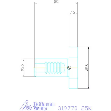 Holex VDI záródugó Form Z2 25K mm