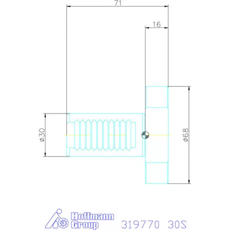 Holex VDI záródugó Form Z2 30S mm
