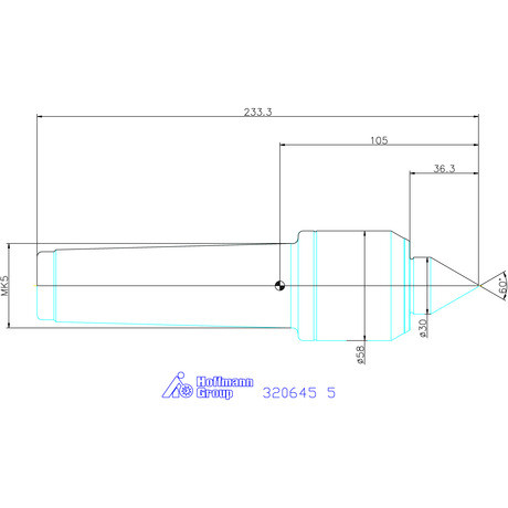 Garant Forgócsúcs 60° 5