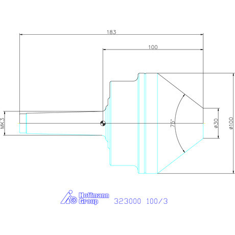 Garant Forgócsúcs csonkakúppal 100/3
