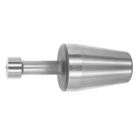 Hitelesítő tüskék