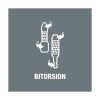 Bit Torx®-hoz, 1/4 col C 6,3 BiTorsion TX10