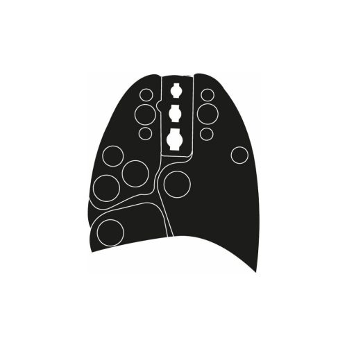 Weidmüller Présszerszám 6ISG