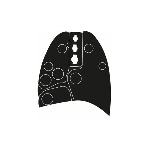 Weidmüller Présszerszám 6IS