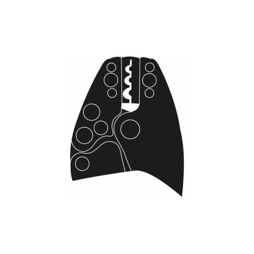 Weidmüller Présszerszám 6NIS