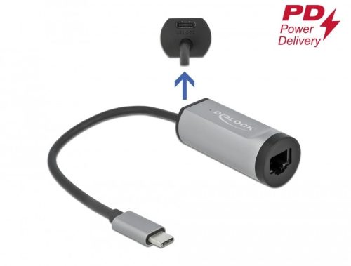 Delock Szürke USB Type-C  adapter tápellátó portos Gigabit LAN-hez