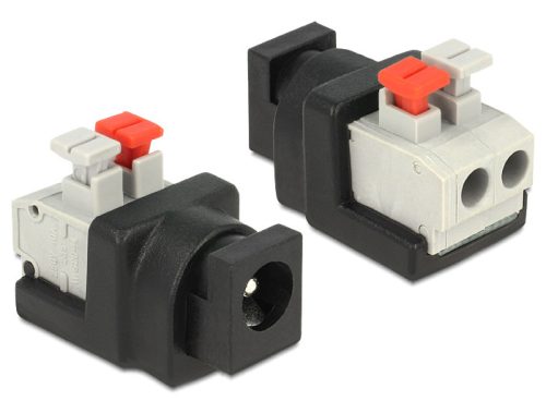 Delock DC 5.5 x 2.1 mm anya > Terminal Block nyomógombbal 2 pines adapter