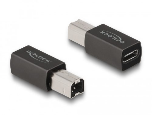 Delock USB 2.0 adapter USB Type-C  anya   B-típusú apa