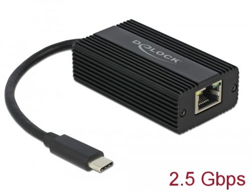 Delock USB Type-C adapter apa   2,5 Gigabit LAN