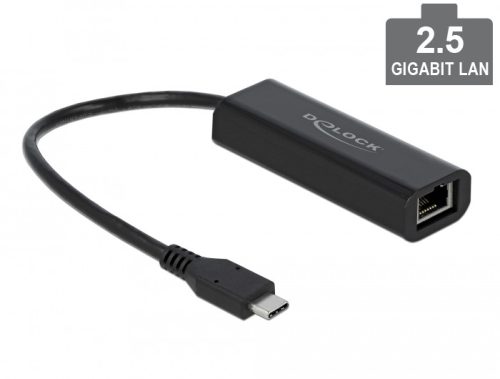 Delock USB Type-C adapter apa   2,5 Gigabit LAN