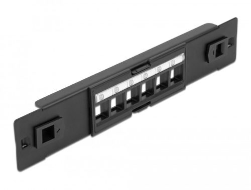 Delock 10  Keystone Patch Panel 6 portos eszközmentes