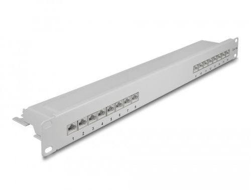 Delock 19  patch panel 16 porttal Cat.6A 1U szürke