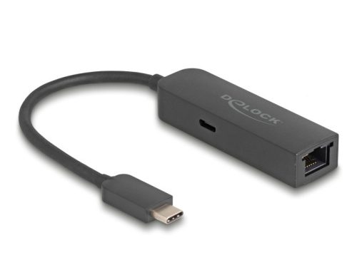 Delock Szürke USB Type-C  adapter tápellátó portos 2,5 Gigabit LAN-hez 100 watt