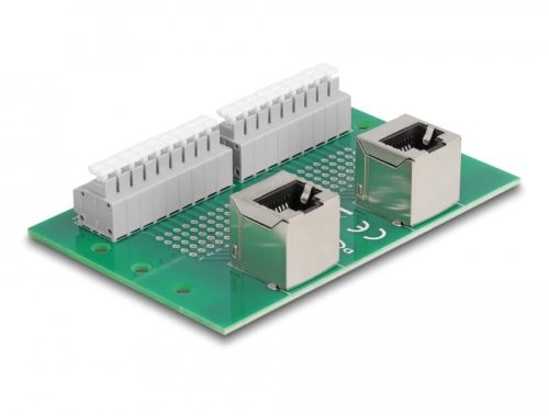 Delock RJ45 2 db. anya - 2 db. Terminal block nyomógombbal hajlított DIM sínhez