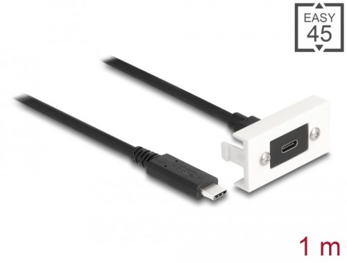 Delock Easy 45 modul SuperSpeed USB 10 Gbps (USB 3.2 Gen 2) USB Type-C  anya - USB Type-C  apa rövid kábellel, 22,5 x 45