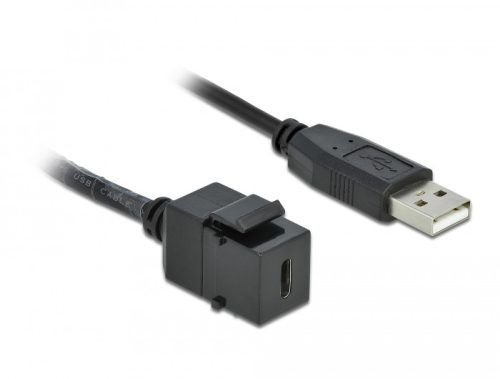 Delock Keystone modul, USB 2.0 C-csatlakozóhüvely > USB 2.0 A-csatlakozódugó, kábellel