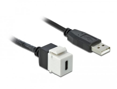 Delock Keystone modul, USB 2.0 C-csatlakozóhüvely > USB 2.0 A-csatlakozódugó, kábellel