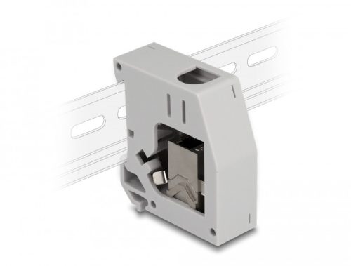 Delock DIN sín adapter Keystone modullal RJ45 anya - RJ45 anya Cat.6A