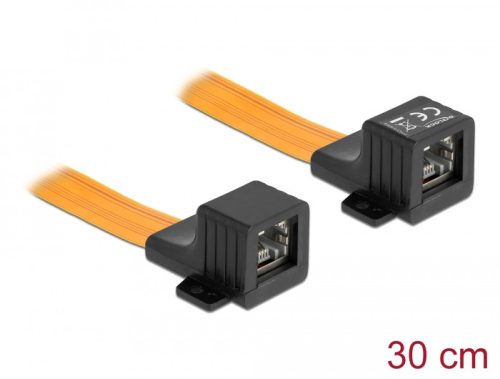 Delock RJ45 FPC (Flexibilis Nyomtatott Áramkör) ablakon átbújtató, 30 cm