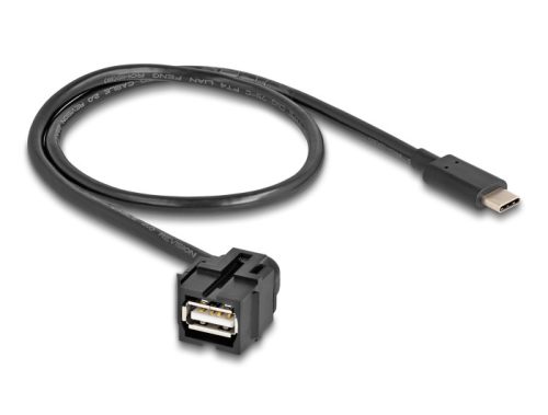 Delock Keystone modul, USB 2.0 A-anya > USB Type-C  apa 250 , kábellel 0,5 m