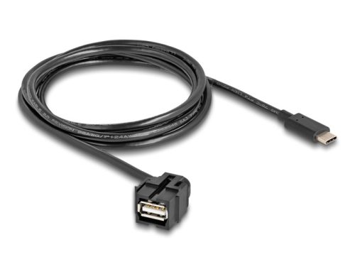 Delock Keystone modul, USB 2.0 A-anya > USB Type-C  apa 250 , kábellel 1,5 m