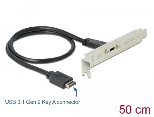 Delock Csatlakozó aljzat 1 x USB Type-C  porttal