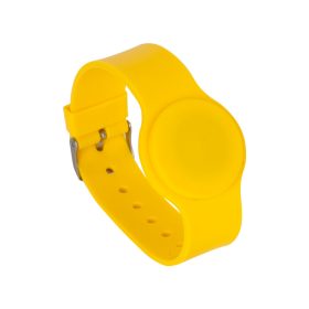 YLI, 13,56 MHz, Mifare, Tag