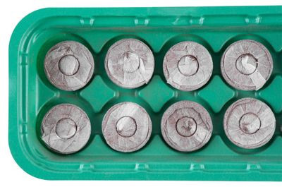 Strend Pro mini melegágy palántákhoz 26 X 12,5 X 4 cm, 10 db kókusz pellettel