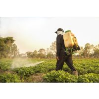 Növényvédelem és ápolás