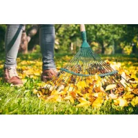 Lombseprűk, seprűk és gereblyék