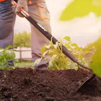 Kapák, talajlazítók