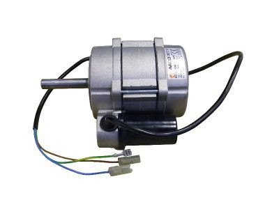 Master Motor 130W 230V BLP 100