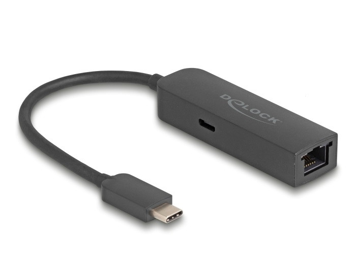 Delock Szürke USB Type-C adapter tápellátó portos 2,5 Gigabit LAN-hez 100 watt